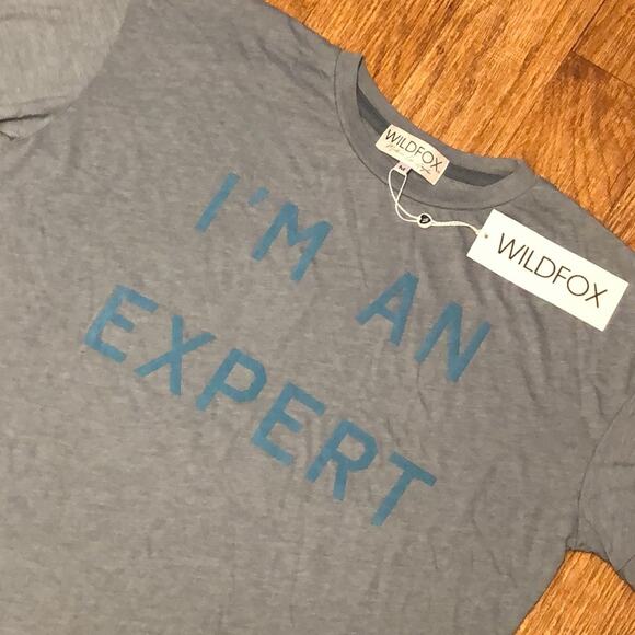 Wildfox Blue and Gray Heathered “I’m An Expert” Graphic Tee Shirt Size Medium - Picture 4 of 6